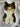 YASUKI Felicity Adorable Ceramic Cat Dish from YASUKI