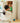 MIGOBEAR Big Capacious Bookshelf Storage System from MIGOBEAR