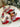 MELONGIRL Christmas Decoration Scene Layout from MELONGIRL