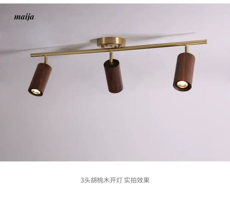 CH LIGHTING Mounted Ceiling and Wall Spot Light from CH LIGHTING