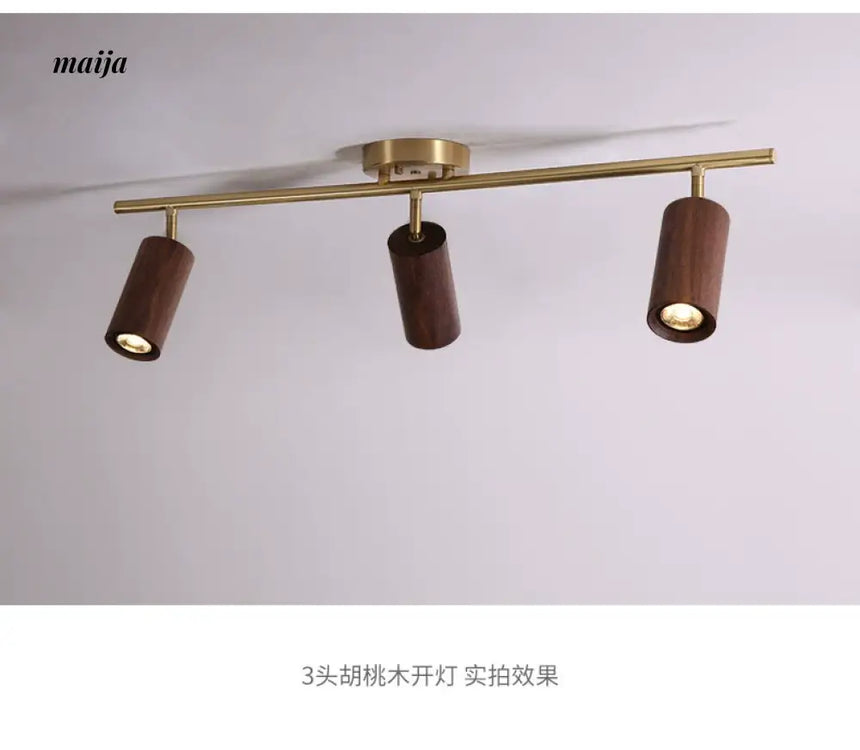CH LIGHTING Mounted Ceiling and Wall Spot Light from CH LIGHTING