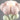 YUNCAN Ivy Flowered Floor Decoration from YUNCAN