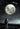 ALISA Luna Scandinavian Moon Lantern from ALISA