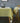 Chevron Vintage Tablecloth from maija