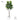 Artificial Fig Plant from Royal Forest