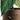 CIIREALS Sprinkle Cake Ceramic Planter from maija
