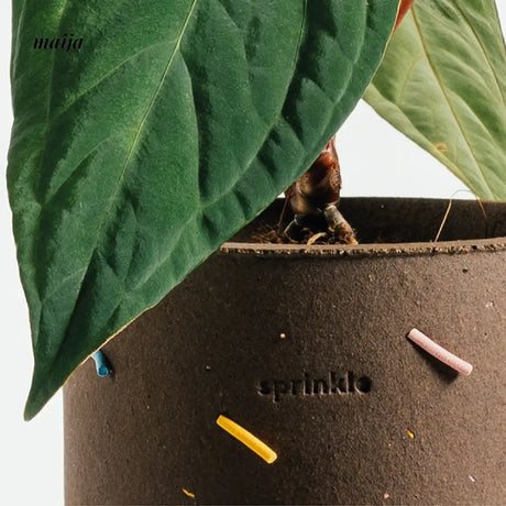 CIIREALS Sprinkle Cake Ceramic Planter from maija
