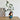 NICEMOON Theo Nordic Morandi Ceramic Vase from NICEMOON
