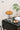 Pumpkin Lamp from maija