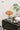 Pumpkin Lamp from maija