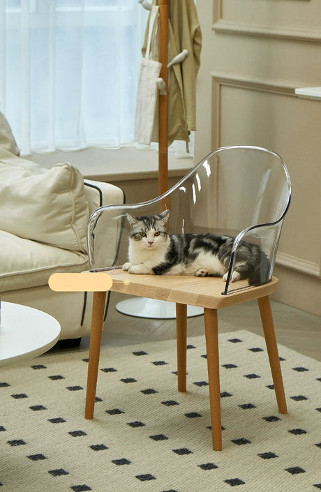 LAZYSPACE Evelyn Acrylic Highchair from LAZYSPACE
