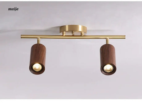CH LIGHTING Mounted Ceiling and Wall Spot Light from CH LIGHTING