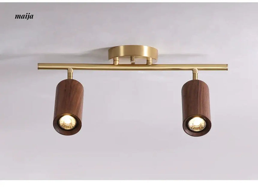 CH LIGHTING Mounted Ceiling and Wall Spot Light from CH LIGHTING