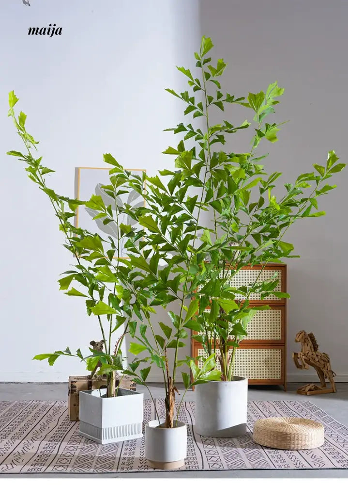 Artificial Super Tall Areca Palm Plant from maija