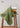 Avocado Cotton Towels from maija