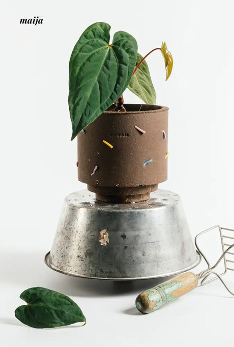 CIIREALS Sprinkle Cake Ceramic Planter from maija