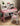 Bliss Adjustable Learning Table Set from maija