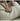 SMALL HIBISCUS Cream Cloth Sofa Internet Celebrity from SMALL HIBISCUS