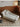SMALL HIBISCUS Chaise Lounge Beauty Couch from SMALL HIBISCUS