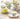 MOSE Gift Box Tableware Set from MOSE