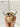 BANKE Dessert Glass Bowl Fruit Salad Yogurt Bowl from BANKE