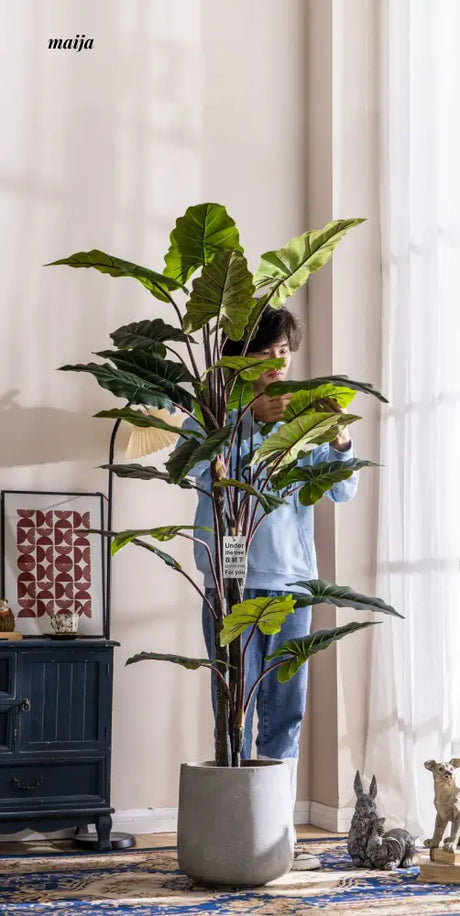 Artificial Rainbow Taro Plant from maija