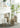 Nordic White Villa Flowerpot from maija