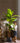 Artificial Large Leaf Banana Tree from maija