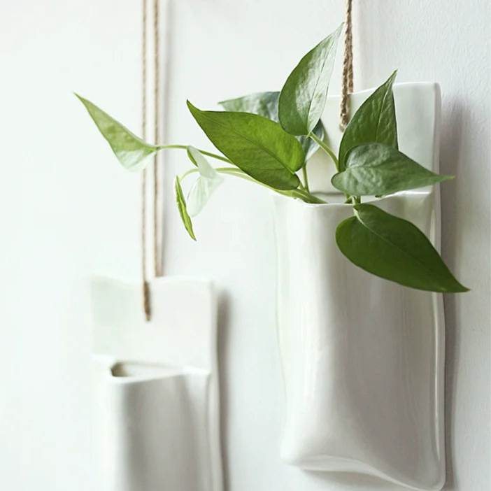 LENYVASEN Aria Wall-Mounted Hydroponic Vase from LENYVASEN