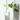 LENYVASEN Aria Wall-Mounted Hydroponic Vase from LENYVASEN