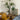 LOU Monkey Head Fern Artificial Plant from KBOOS