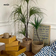 LOU Monkey Head Fern Artificial Plant from KBOOS