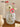 CLICK Big Belly Glass Vase for Hydroponic Flowers from CLICK