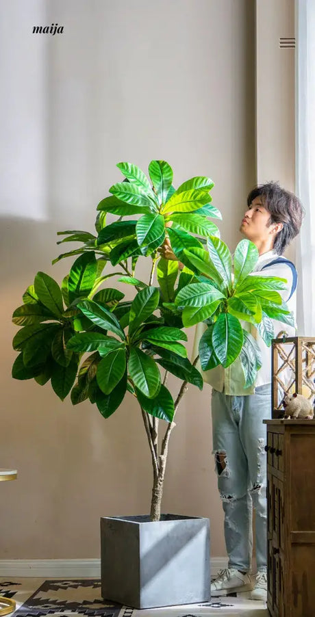 Artificial Loquat Plant from maija