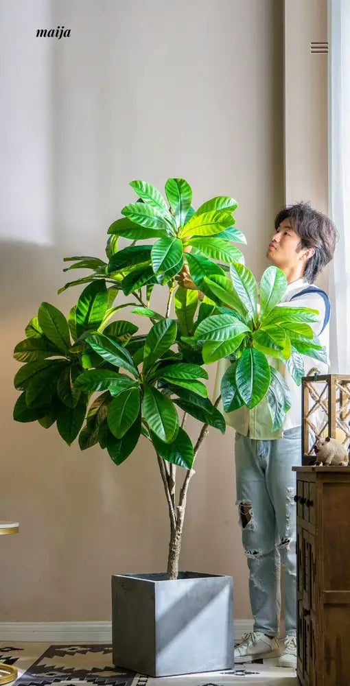 Artificial Loquat Plant from maija