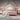 Pink Rainbow Children Bed Frame from maija