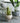Josie Bloom Floor Flowerpot from maija