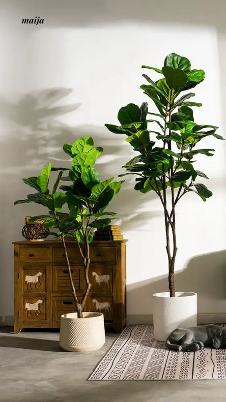 Artificial Fig Plant from Royal Forest