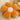 WANBAOLE Lily Flowered Plush Chair Pillow from WANBAOLE