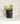 TODAYARTIST Sylvie Folded White Ceramic Flower Vase with Modern Charm from TODAYARTIST