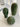 YASUKI Alexander Unique Scandinavian Ceramics Decor from YASUKI