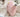 MAN YUE HOME INS Wind Cat-Themed Crown Pillow for Tatami from MAN YUE HOME