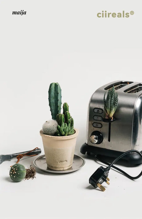 CIIREALS Overnight Toast Ceramic Planter from maija