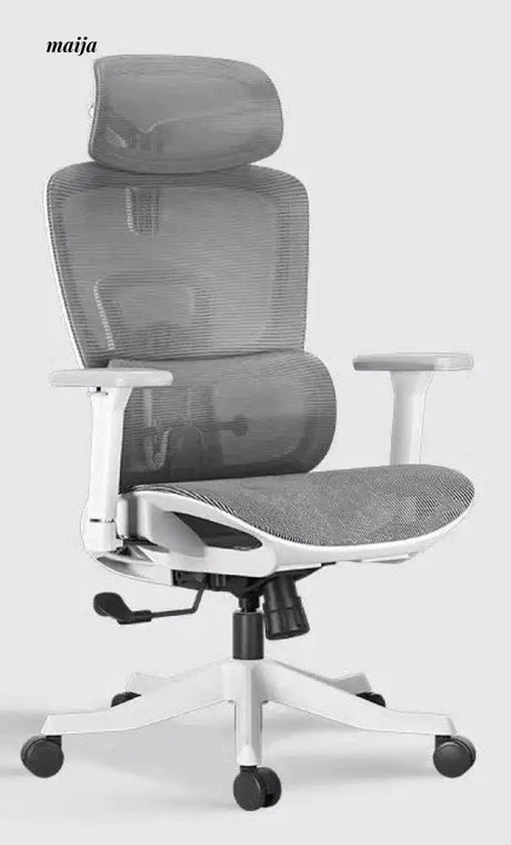 Black and White E2 Ergonomic Office Chair from Hbada