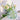 NICEMOON Theo Transparent Acrylic Hydroponic Vase from NICEMOON