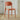 [CLEARANCE] Shania Plastic Dining Chair from Yishengtao