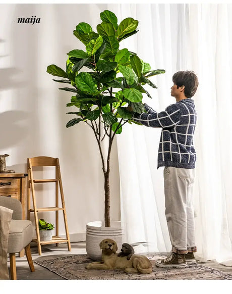 Artificial Fig Plant from Royal Forest