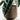 CIIREALS Sprinkle Cake Ceramic Planter from maija
