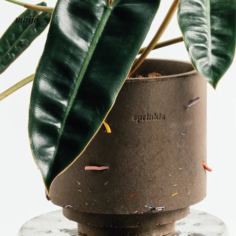 CIIREALS Sprinkle Cake Ceramic Planter from maija
