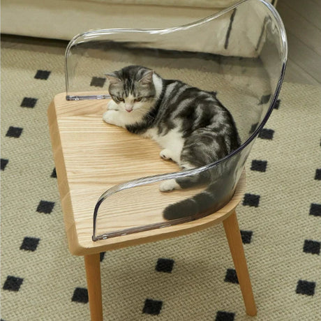 LAZYSPACE Evelyn Acrylic Highchair from LAZYSPACE